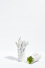 Asparagus - food photography by Sydney based photographer Benito Martin