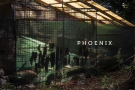 PHOENIX 3