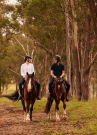 Hunter Valley Tourism Horse Riding Resized