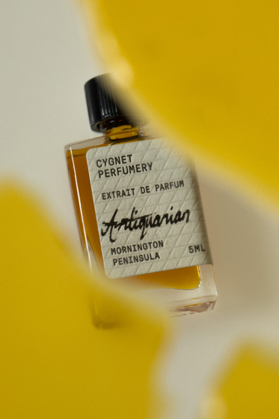 Ilsa Wynne-Hoelscher Kidd for Cygnet Perfumery